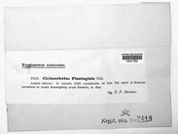 Image Associated With the Occurence